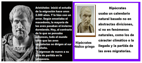  Gripe Aviar: Pasado-Presente-Futuro. Primera Parte - Image 1