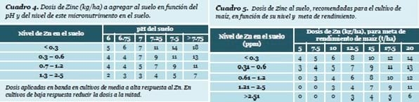 El Zinc (Zn), en la Nutrición de los Cultivos - Image 5