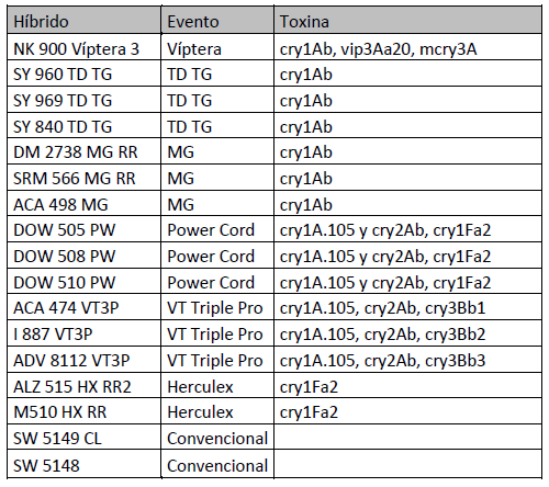 Evaluación del daño de oruga militar (Spodoptera frugiperda) en diferentes híbridos comerciales de maíz transgénicos. - Image 2
