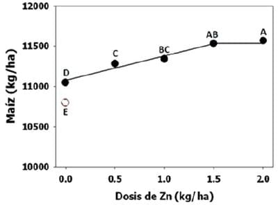 El zinc limita el rendimiento del maiz en la Region Pampeana Argentina - Image 2