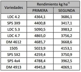 Evaluación comparativa de rendimiento de variedades de soja sembradas en dos fechas de siembra - Image 6