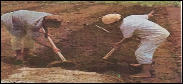 Sistema de Riego en Horticultura - Image 3