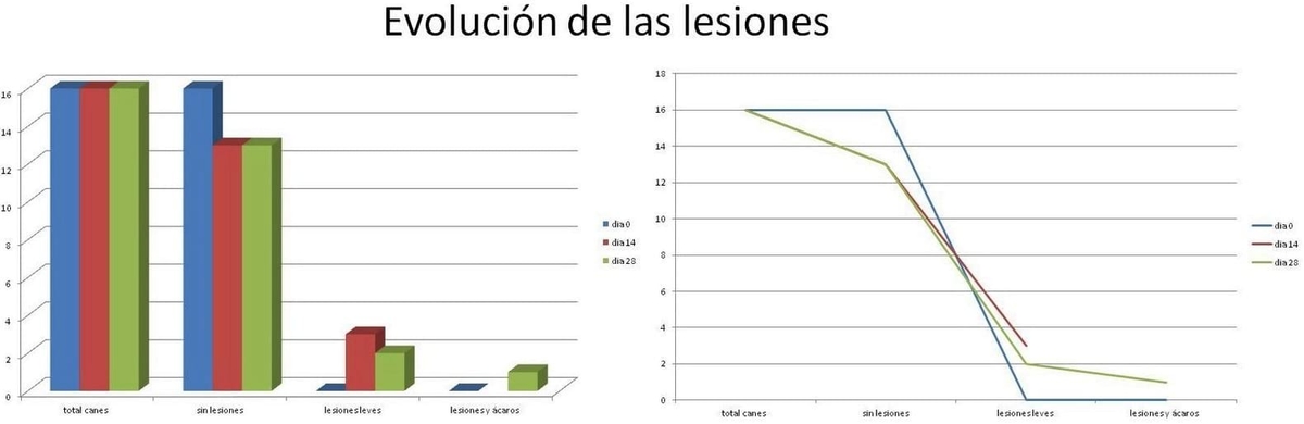 Eficacia de una formulación de amitraz aplicado spot on en forma preventiva a perros que convivan con animales infectados con Sarcoptes scabiei - Image 3