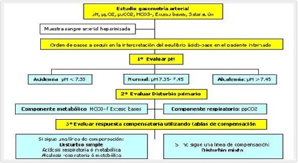 Bases para la interpretación de la gasometría arterial en caninos - Image 1