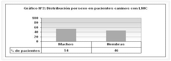 Leucemia mieloide crónica en pacientes caninos: rasgos epidemiológicos y aproximación diagnóstica - Image 2