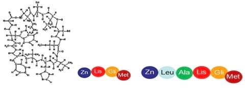 ¿Qué calidad de nutrición mineral traza reciben nuestros animales en producción? Estrategia de reducción y reemplazo de fuentes inorgánicas por orgánicas. - Image 8