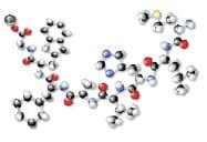 ¿Qué calidad de nutrición mineral traza reciben nuestros animales en producción? Estrategia de reducción y reemplazo de fuentes inorgánicas por orgánicas. - Image 7