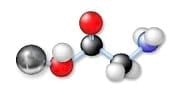 ¿Qué calidad de nutrición mineral traza reciben nuestros animales en producción? Estrategia de reducción y reemplazo de fuentes inorgánicas por orgánicas. - Image 6