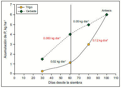 La nutrición de cebada cervecera en Argentina: Mejores prácticas de manejo de la fertilización - Image 6