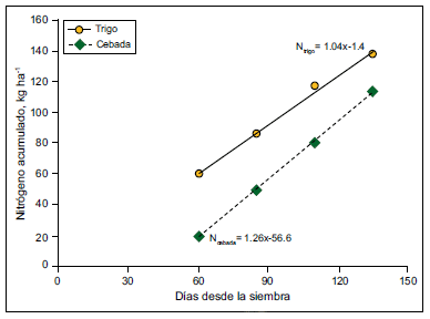 La nutrición de cebada cervecera en Argentina: Mejores prácticas de manejo de la fertilización - Image 1