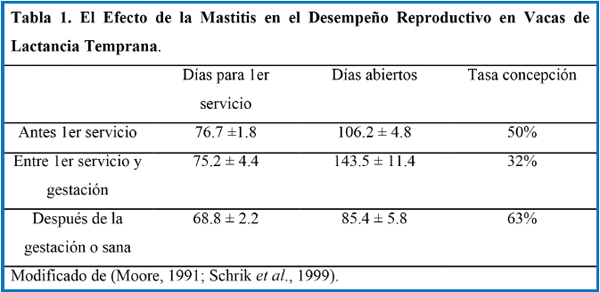 Mastitis y desempeño reproductivo en vacas - Image 2