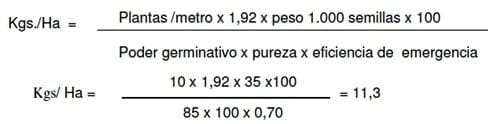 Sorgo Granífero, La importancia de su cultivo y correcto manejo en Siembra Directa, Año 2014 - Image 3