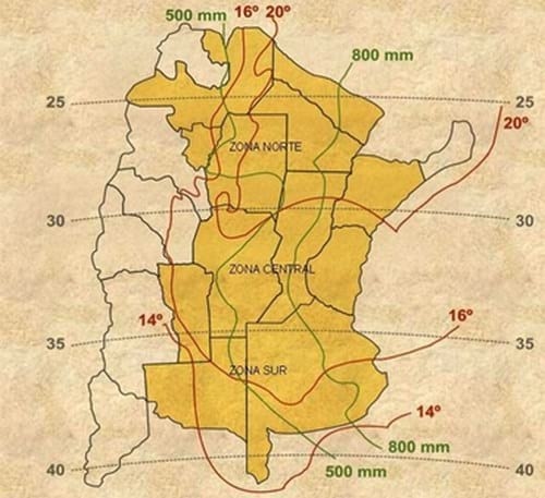 Sorgo Granífero, La importancia de su cultivo y correcto manejo en Siembra Directa, Año 2014 - Image 1