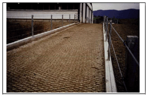 Tipos de suelos en las instalaciones de vacuno lechero - Image 8