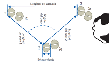 Tipos de suelos en las instalaciones de vacuno lechero - Image 4