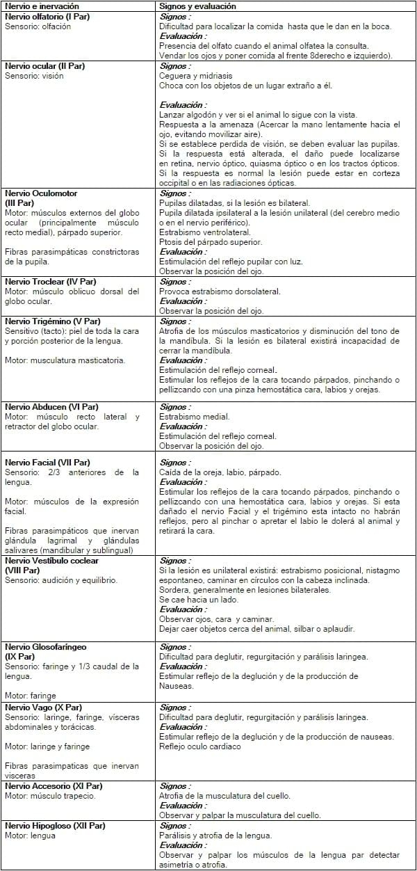 EXAMEN ENCEFALICO - Image 6