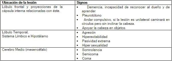 EXAMEN ENCEFALICO - Image 4