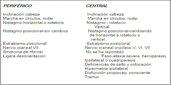 ASPECTOS BÁSICOS DEL SÍNDROME VESTIBULAR EN PERROS Y GATOS - Image 6