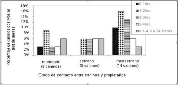 Relación entre el grado de contacto perro-propietario y la carga de helicobacterias en mucosa gástrica canina - Image 2