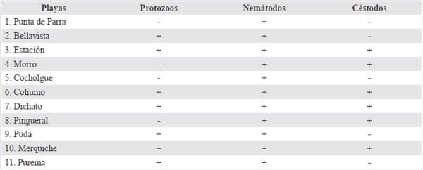 Determinación coproscópica de formas parasitarias en heces de Canis lupus familiaris diseminadas en playas de la comuna de Tomé, Región del Bío Bío, Chile - Image 1