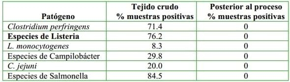 Perspectiva general de la industria del reciclaje de subproductos de origen animal - Image 2