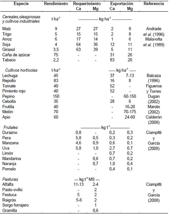 Pérdida de nutrientes básicos, sus consecuencias y posibilidades de tratamiento - Image 1