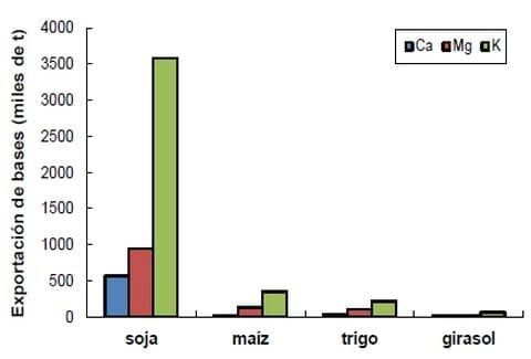 Pérdida de nutrientes básicos, sus consecuencias y posibilidades de tratamiento - Image 3