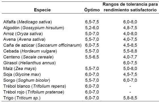 Pérdida de nutrientes básicos, sus consecuencias y posibilidades de tratamiento - Image 9