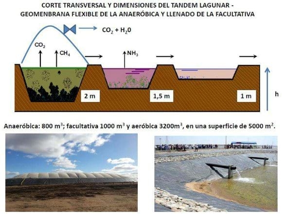 Dimensionamiento lagunar para tratamiento biológico de purines porcinos con reciclado de agua en fosas de vaciado bimestral - Image 2