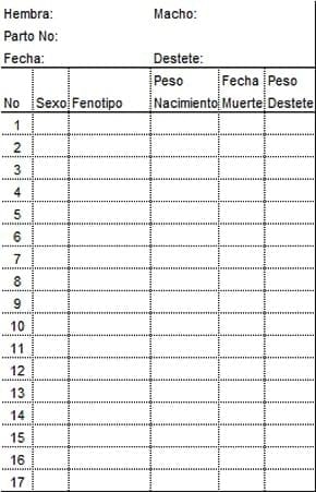 Genética aplicada para granjas pequeñas - Image 1