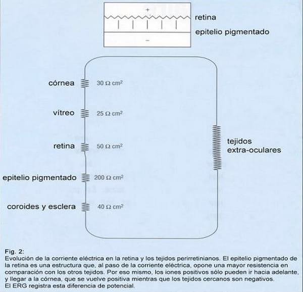 Electrofisiología Ocular. - Image 2