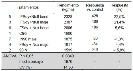 Efecto de aplicación de Micronutrientes y Nitrógeno en Cebada Cervecera y Trigo Pan - Image 6