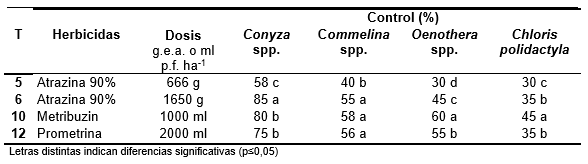 Estrategias de barbechos para el control de las malezas otoño-inverno-primaveral mediante el uso de herbicidas residuales - Image 6