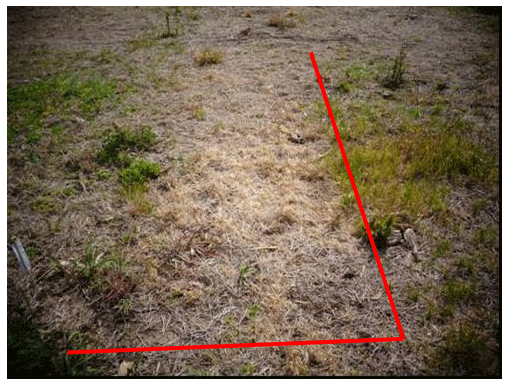 Estrategias de barbechos para el control de las malezas otoño-inverno-primaveral mediante el uso de herbicidas residuales - Image 9