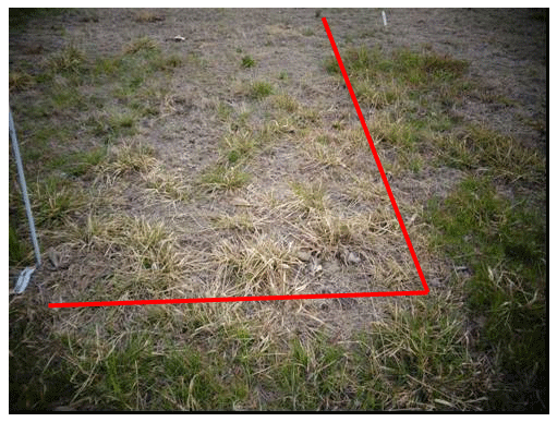 Estrategias de barbechos para el control de las malezas otoño-inverno-primaveral mediante el uso de herbicidas residuales - Image 4