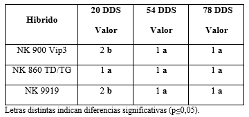 Alternativas al “doble golpe” para el control de conyza spp. en barchecho de maiz tardio - Image 8