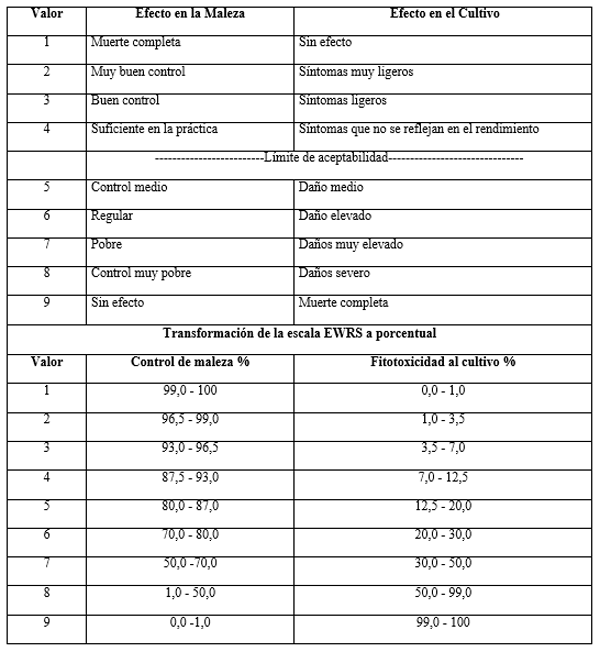 Alternativas al “doble golpe” para el control de conyza spp. en barchecho de maiz tardio - Image 3