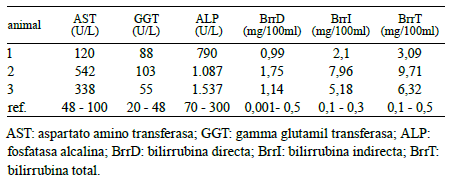 Intoxicación por Cestrum parqui (“duraznillo negro”) en bovinos. Confirmación por análisis micrográfico del contenido ruminal - Image 3