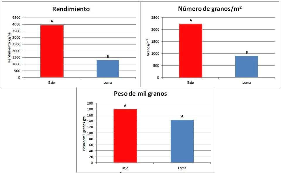 Productividad del cultivo de soja bajo diferentes ambientes semiáridos pampeanos - Image 4