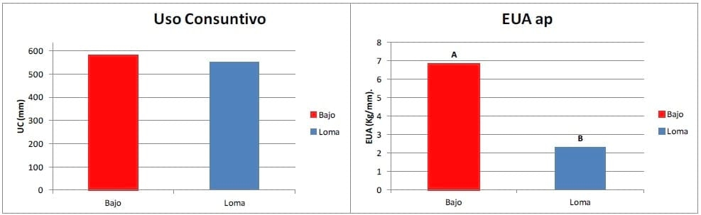 Productividad del cultivo de soja bajo diferentes ambientes semiáridos pampeanos - Image 6