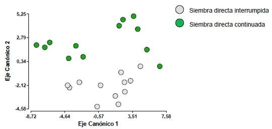 Determinaciones de actividad biologica para evidenciar diferencias entre manejos agricolas - Image 3