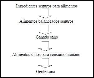 El papel de la industria del reciclaje de subproductos de origen animal en la seguridad de alimentos para consumo animal y humano - Image 1