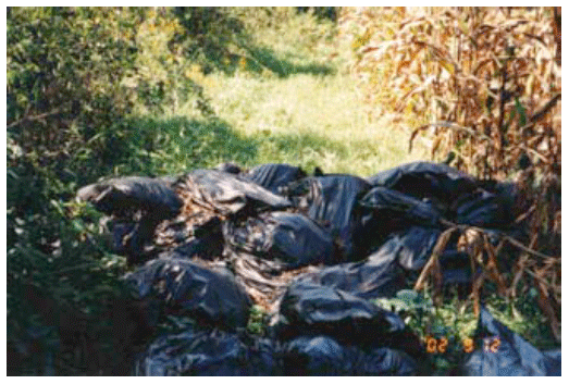 La contribución a la bioseguridad de la industria del reciclaje de subproductos de origen animal a la salud pública y animal - Image 12