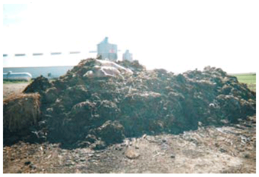 La contribución a la bioseguridad de la industria del reciclaje de subproductos de origen animal a la salud pública y animal - Image 14