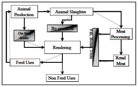 La contribución a la bioseguridad de la industria del reciclaje de subproductos de origen animal a la salud pública y animal - Image 1