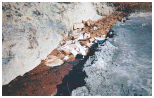 La contribución a la bioseguridad de la industria del reciclaje de subproductos de origen animal a la salud pública y animal - Image 15