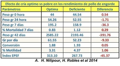 Los cuarenta factores más importantes en la industria avícola moderna - Image 2