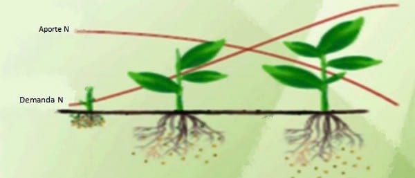 ¿Cómo podemos mejorar la eficiencia de la fertilización nitrogenada en praderas del sur de Chile? - Image 1