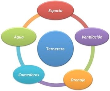 Aspectos a considerar en la construcción de ternereras - Image 1