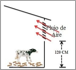 Aspectos a considerar en la construcción de ternereras - Image 3